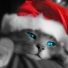 MisterMystere