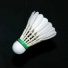 Badminton60