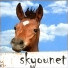 Skyounet