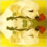 Chiot-de-feu
