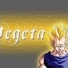 Vegeta22