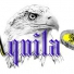 Aquila