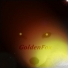 GoldenFox380