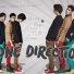 MagLove1D