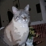 Tilbix