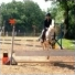 -horse-