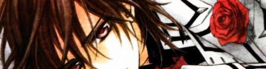 Quiz Vampire knight