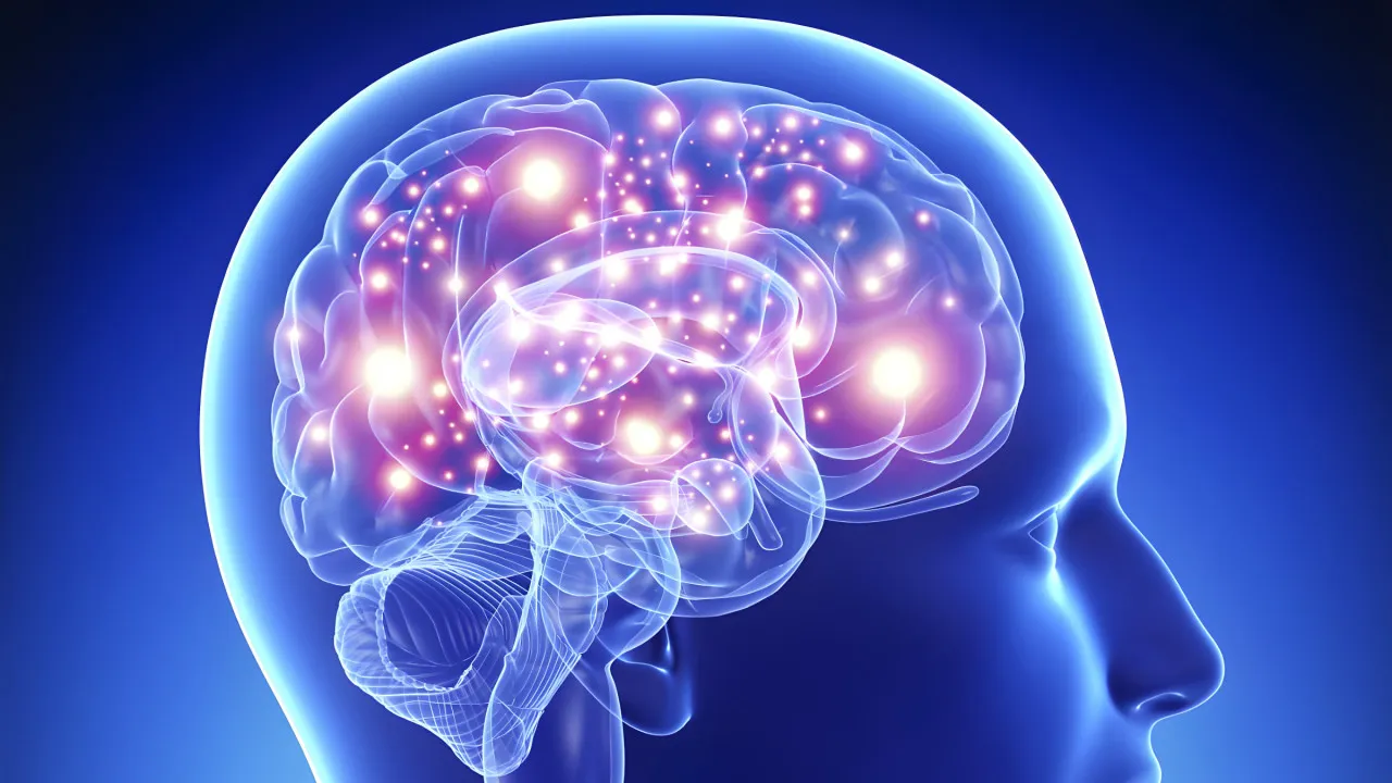 Quiz Le traumatisme crânien et les fonctions affectées