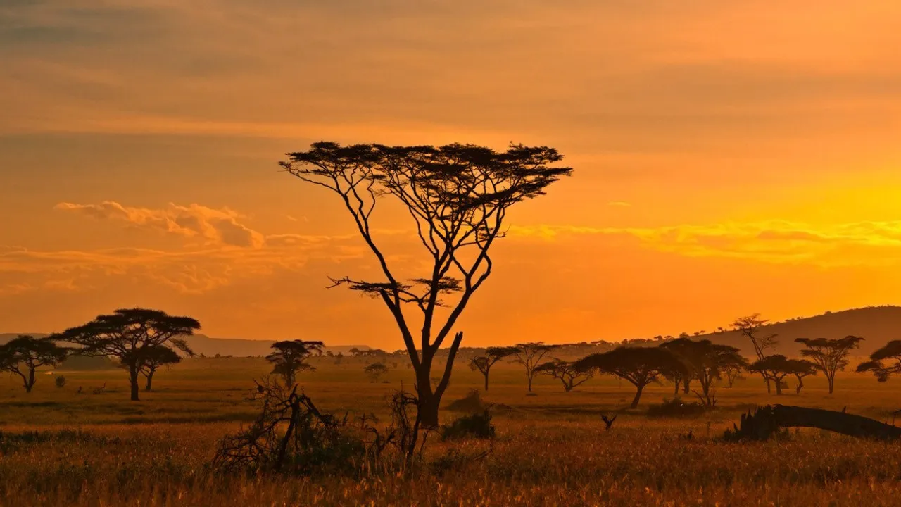 Quiz Pays d'Afrique du Nord