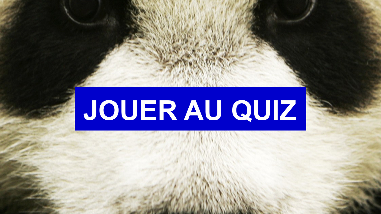 Quiz Animaux