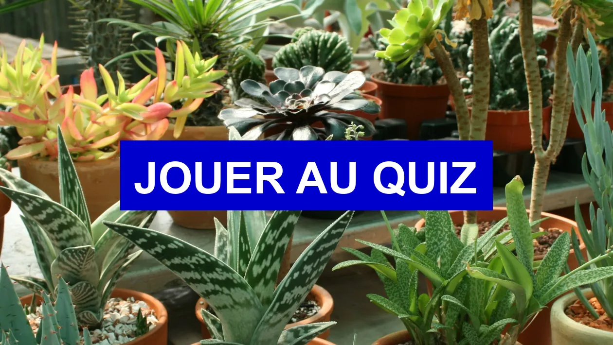 Quiz SVT - chapitre 4