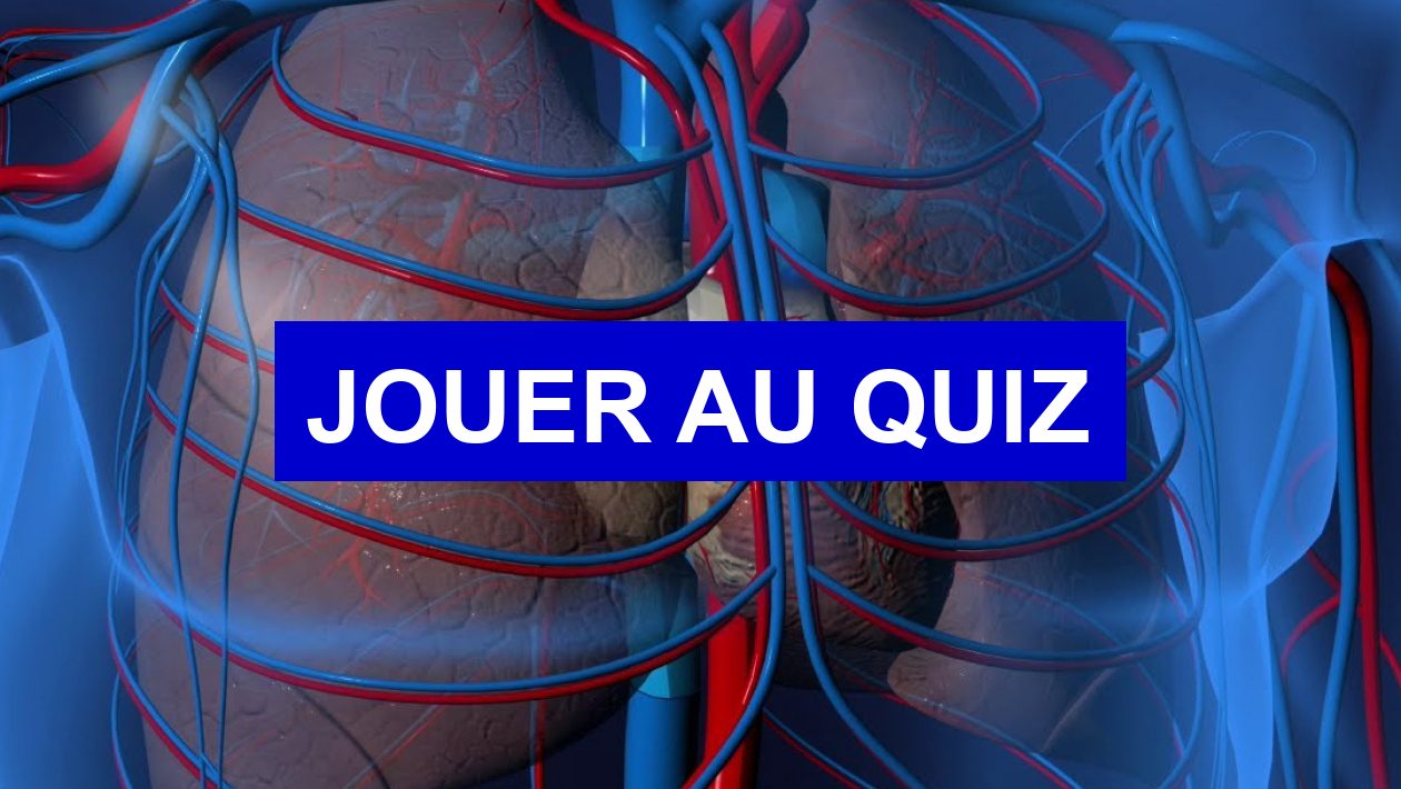 Quiz Corps humain