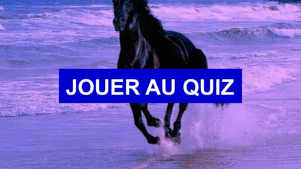 Quiz Petit quiz pour les fans de chevaux