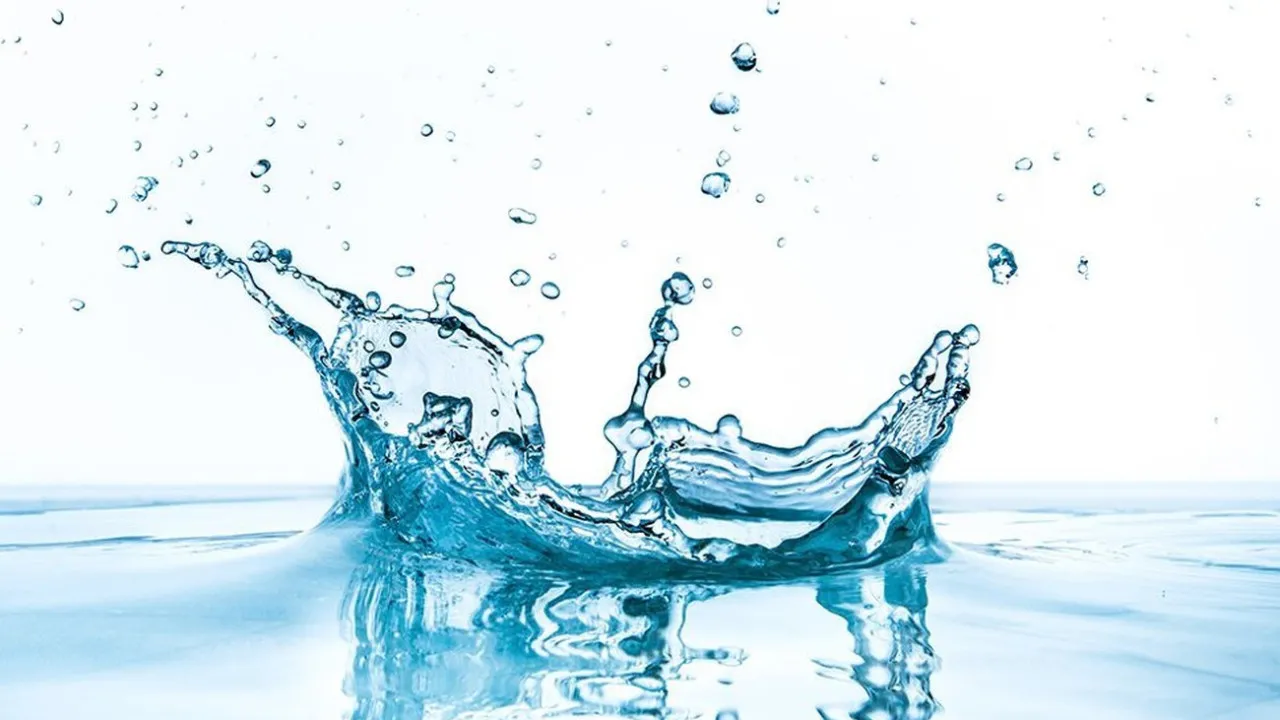 Quiz Sous quel nom connait-on mieux ce poisson d'eau douce ?