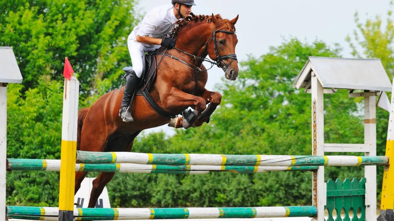 Quiz Passer son galop 4