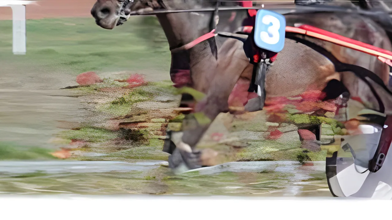 Quiz Le monde des courses hippiques ( 10ème partie)