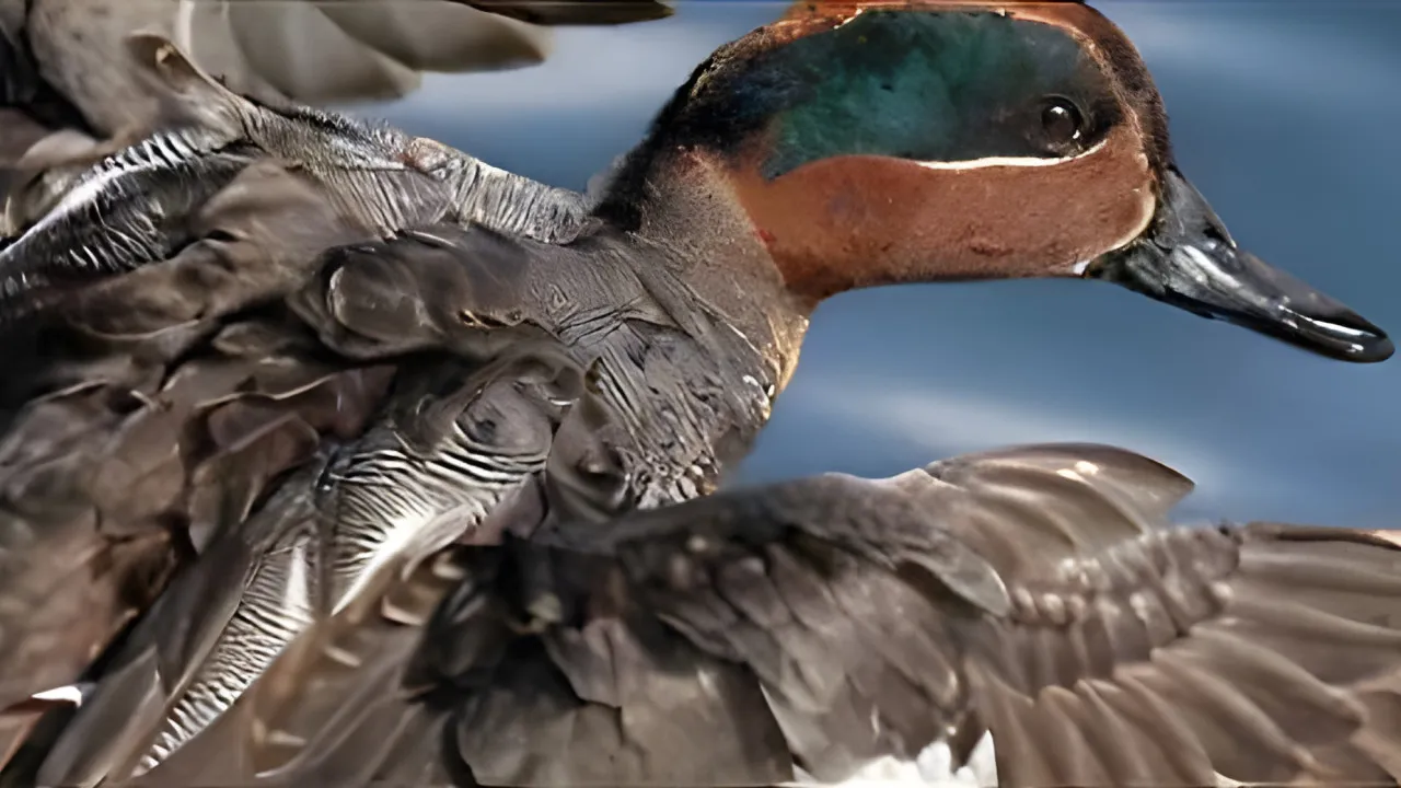 Quiz Les animaux 1