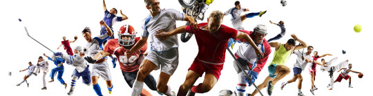 Quiz Sportifs