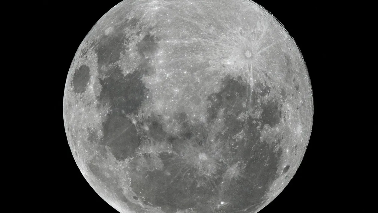 Quiz Poil d'Écureuil ou Feuille de Lune ?