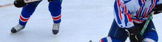 Quiz Hockey