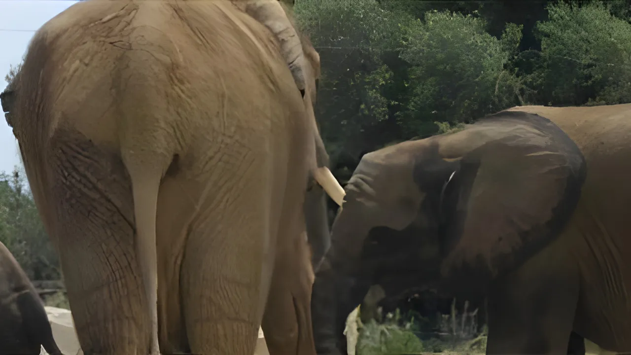 Quiz Les secrets d'un zoo