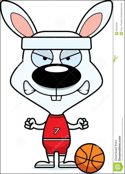 Il faut le faire vacciner tous les combien ?