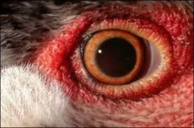 Et le dernier. Quel est-il ?