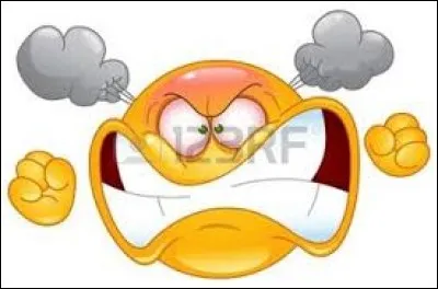 Qu'exprime ce smiley ?