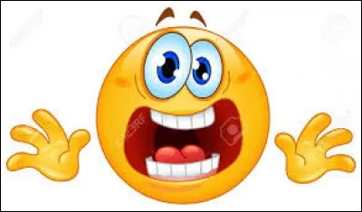 Qu'exprime ce smiley ?
