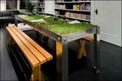 Cette table est vraiment ... avec cette herbe qui a l'air si douce.