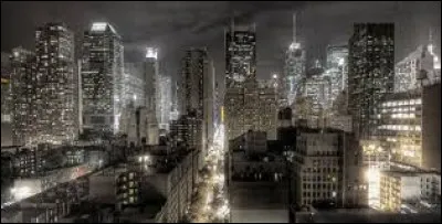 Quel autre nom donne-t-on à la ville-monde ?