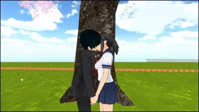 Qui sont les Rivals ? (pas officiel)