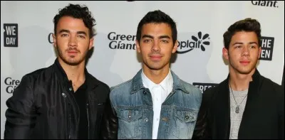 Quel chanteur des Jonas Brothers s'est lancé dans une carrière solo et a sorti le titre "Jealous" en 2014 ?