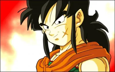 Quelle est la phobie de Yamcha ?