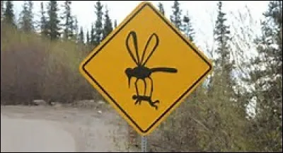 A quelle maladie vous fait penser ce panneau ?