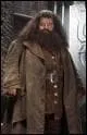 Qui est Hagrid ?