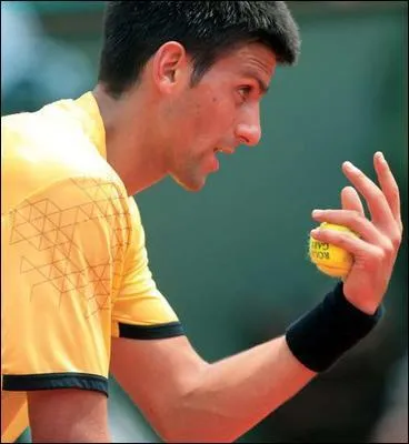 Novak Djokovic est le 3me joueur serbe de l'histoire  avoir remport un Grand Chelem en simple.