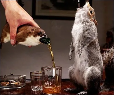 Cette bi&egrave;re, &laquo; The end of history &raquo;, est une des plus &eacute;lev&eacute;es en alcool avec 55%. Il semble que cela soit la bi&egrave;re la plus ch&egrave;re au monde. Mais, n'en cherchez pas, il n'y a eu que 12 bouteilles de fabriqu&eacute;es et elles ont &eacute;t&eacute; toutes vendues. Mais, s'il n'y avait que cela !Avec quoi est entour&eacute;e la bouteille ?