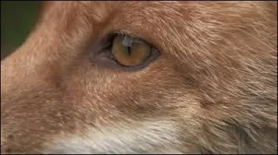 Réfléchissez bien! Je trouve que la réponse est facile mais tout le monde peut se tromper.