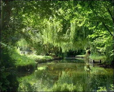 Combien de visiteurs accueillent les hortillonnages d'Amiens par an, environ ?