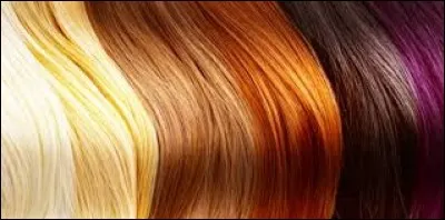 Quelle est la couleur de tes cheveux ?