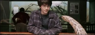 Qui est Fourchelang ?