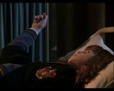 Qui est pétrifié(e) dans le film "La Chambre des secrets" ?