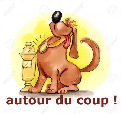 L'heure est venue de médailler le quiz ou pas ! J'opte pour la médaille d'or, c'est l'occasion ou jamais de se montrer aimable avec l'auteure ! (et puis c'est moins cher qu'un bouquet de fleurs !)