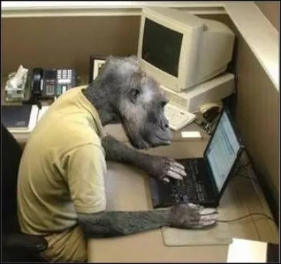 Finalement le quiz n'a pas l'air trop mal :