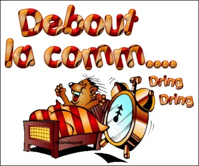 Que se passe-t-il pour vous déranger en plein quiz ?