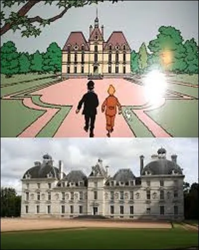 Dans "Les Aventures de Tintin", de quel château du département du Loir-et-Cher se servit Hergé, de son vrai nom Georges Rémi (1907-1983), pour créer le château de Moulinsart, demeure du capitaine Haddock ?