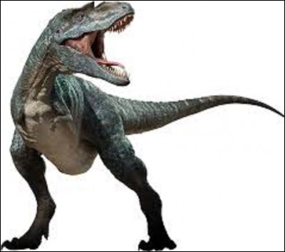 Pour la mise en bouche, je commence comme d'habitude par un gentil dinosaure. Celui-là vivait au Crétacé supérieur, il y a entre environ 76,5 et 75 millions d'années dans l'ouest de l'Amérique du Nord. Atteignant une taille de 8 à 9 m, du museau à la racine de la queue, pour un poids de près de 2,4 tonnes, son nom signifie "lézard féroce", mais qui est-il ?