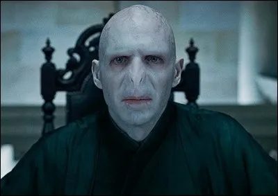 Je me demande pourquoi Voldemort a cette affreuse apparence. 

Tu le sais, toi ?