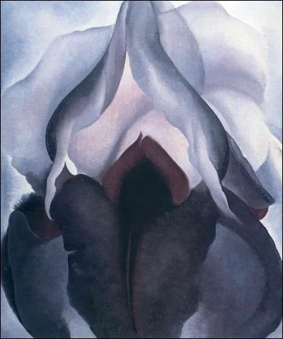 Cette fleur enchanteresse est le symbole de la face la plus aimable des sentiments humains, aussi est-elle reine d'inoubliables moments et messagère d'heureux espoirs